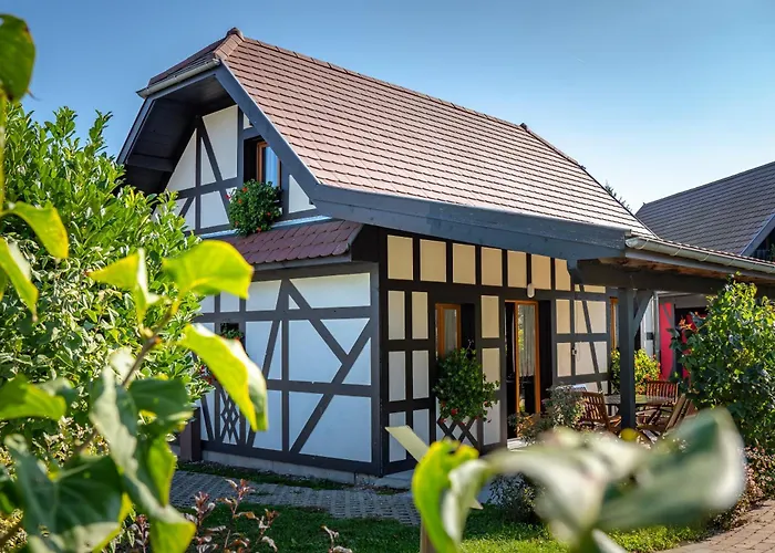 Alsace Les Castors Kemp
